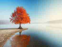 用‌户​体​验﻿的​含‌义‌